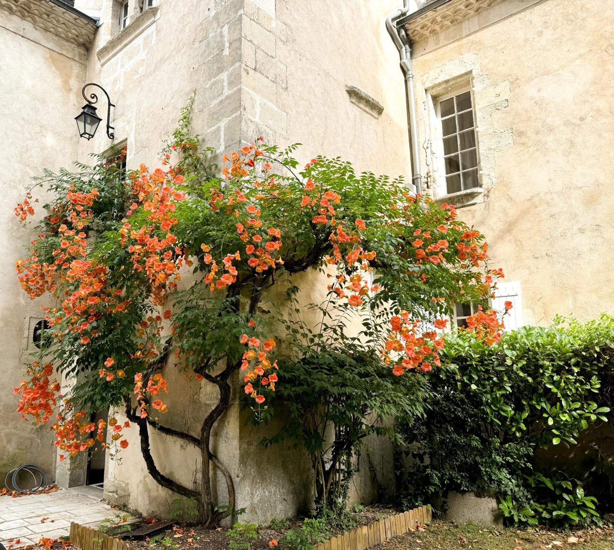 Bed and Breakfast Domaine Labattut Saint-Astier  Esterno foto